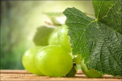 Pour continuer les ftes de Nol, que font les Espagnols lors du passage  la nouvelle anne ?