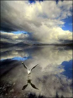 Quel est le plus grand rservoir d'eau sur la Terre ?