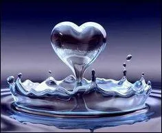 Passons au test de reconnaissance de l'eau ! Que veut dire anhydre ?