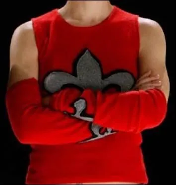 Qui porte ce tee-shirt ?