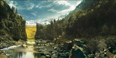 Comment s'appellent les habitants de Rio de Janeiro ?