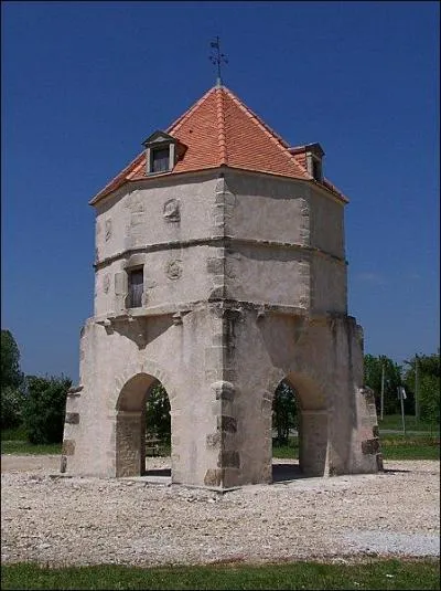 Au dbut du sicle dernier, qu'tait un chfeurdi ?