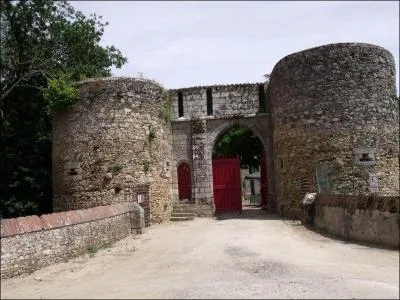 Dans notre patois, que voulait dire un galopin ?