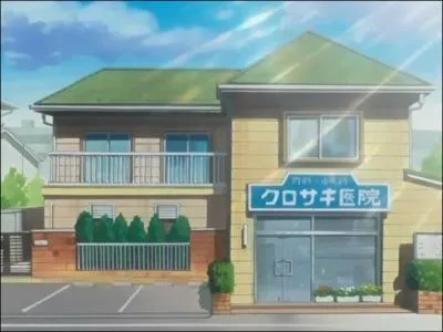 Si on avance un peu dans cette ville, on tombe sur cette maison. Savez-vous  qui elle appartient ?