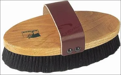 Quelle est cette brosse ?