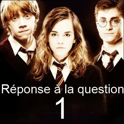 Mon animal de compagnie est un hibou (ou une chouette) mais mon Patronus n'est pas de la famille des cervids. Qui suis-je ?