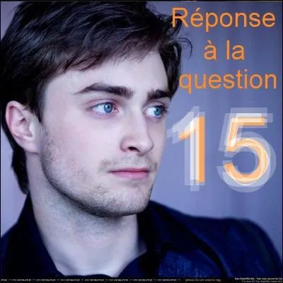 _____ est l'ennemi jur de Malefoy tandis que James Potter et _____ se hassent cordialement.