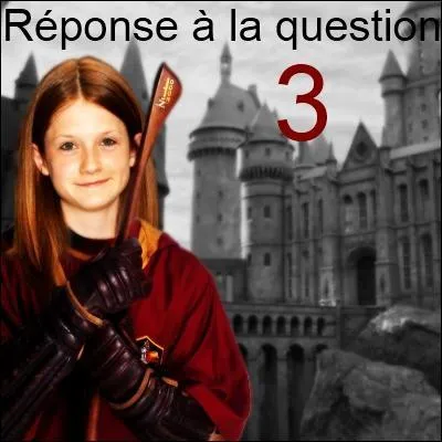 Parmi ces personnages, qui n'a jamais t en possession d'un Dluminateur ?