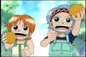 Qui est la soeur de Nami ?