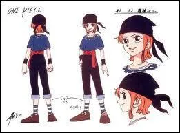 Que faisait-elle avant de rencontrer Luffy ?