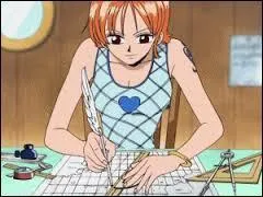 Quel est son rle dans l'quipage de Luffy ?