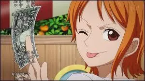 Quelles sont les deux choses que prfrent Nami ?