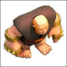 Quel est le niveau de cette troupe ?