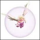 Cette troupe a ... niveaux ?