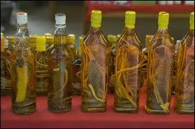 A part des serpents, que contiennent ces bouteilles ?