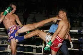La boxe thalandaise est aussi appele :