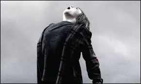 D'o provient cette image ? Citation :  Une fois que vous avez t choisi. Vous leur appartenez.  