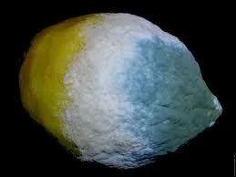 Le mot commence par : Cra ...