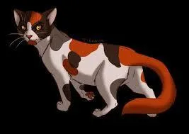 Qui a tu Plume Rousse dans retour  l'tat sauvage ? C'est...