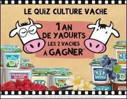 Pour sa cration de quiz, c'est le king de la difficult, et mme le King Kong, gare au gorille !