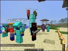 Peut-on jouer en multijoueur ?