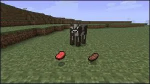 Que rapportent les vaches ?