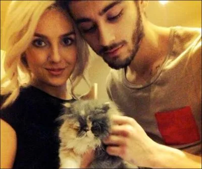 Comment s'appelle le chaton de Zayn Malik et sa copine ?