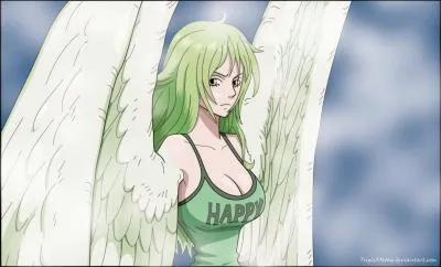 Que matrise-t-elle ?