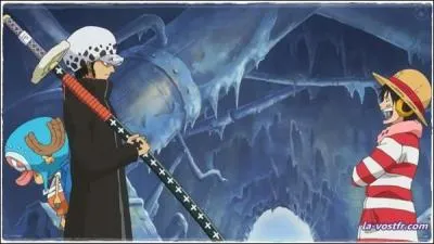  votre avis, pourquoi porte-t-il Chopper ?