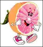 Le pamplemousse est : (facile)