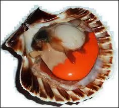 Dans la coquille Saint-Jacques nous mangeons :