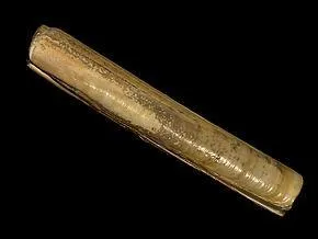 Dans quelle famille est le couteau ?