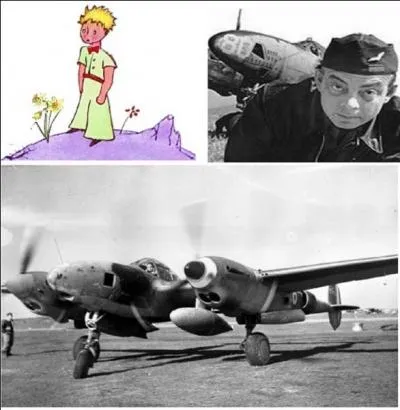 C'est un avion de conception originale et très reconnaissable. Malgré la volonté isolationniste des USA et des effets de la crise de 1929, il fut conçu en pensant aux menaces que l'Allemagne nazie faisait peser sur le monde. C'est l'avion du « petit prince » des écrivains.