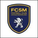 Cet cusson est celui du club de :