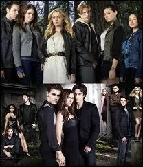 Laquelle est inspire des romans de L. J Smith ?