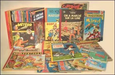 Après s'être arrêté du côté du 8e art, faisons un petit bond supplémentaire pour atterrir jusqu'au neuvième. Ressortez vos vieux albums poussiéreux et cochez parmi ces héros de bandes-dessinées celui qui a du style à n'en pas douter.