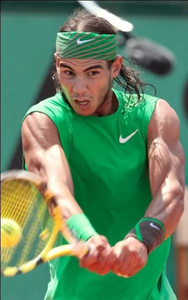 Comment appelle-t-on le classement des joueurs de tennis professionnels ?