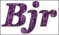 Que signifie  bjr  ?