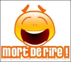 Comment dit-on  mort de rire  en langage sms ?