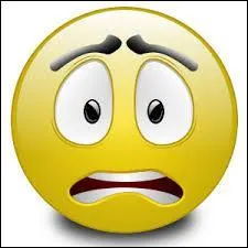 Que veut dire  dsl  ?