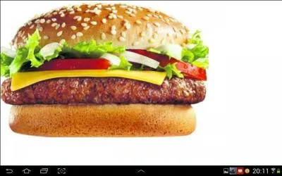 Une portion de viande hache dans un petit pain rond, c'est le hamburger clbre dans le monde entier. C'est lors de l'Exposition universelle de St. Louis, aux tats-Unis, que le premier sandwich a t vendu sous le nom de  Hamburg . En quelle anne ?