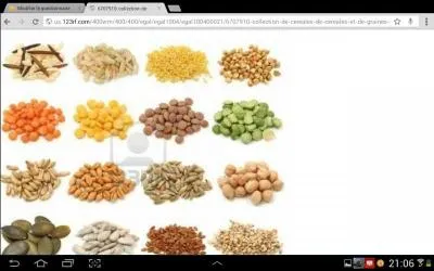 Nous mangeons souvent du pain, des nouilles et des biscuits faits  base de farine de bl et de seigle. Parmi ces quatre mots, lequel dsigne galement une crale ?