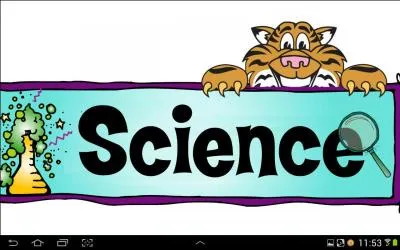 Quel est le nom de la science qui s'intresse au comportement des tres humains, individuellement ou en groupes ?