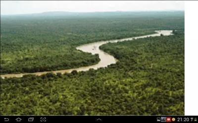 Les fleuves sont des artres vitales : ils alimentent en eau les tres humains, les animaux et les plantes et sont un moyen de transport irremplaable. Quel est le plus long fleuve au monde ?