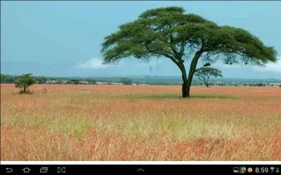 L'Afrique du Sud compte parmi les plus belles destinations touristiques du monde. Quelle est la capitale politique de la nation arc-en-ciel ?