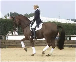 Comment s'appelle la figure quand le cheval n'avance presque pas ?