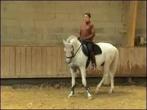 Comment s'appelle cette figure ?