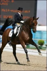 Comment s'appelle cette  figure , qui n'en est pas trop une, quand le cheval change de pied au galop ?