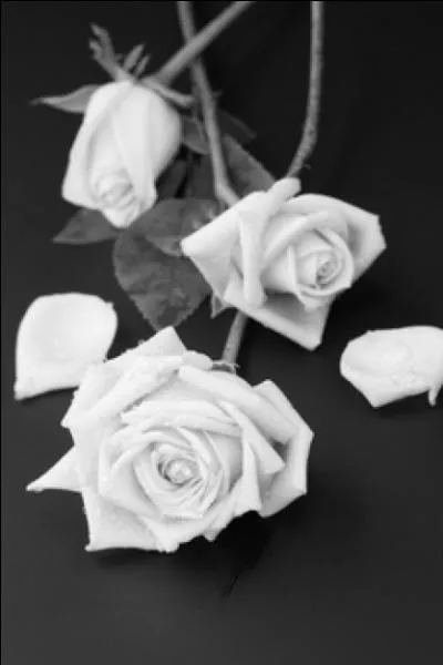 Quel est ce pome de Goethe ?