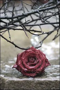 Le roman de la rose de Guillaume Lorris est une oeuvre :